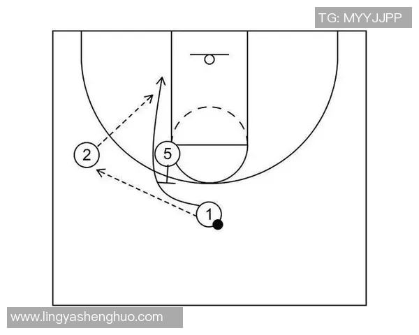 北京篮球队控制体系下的战术解析与实战应用探讨