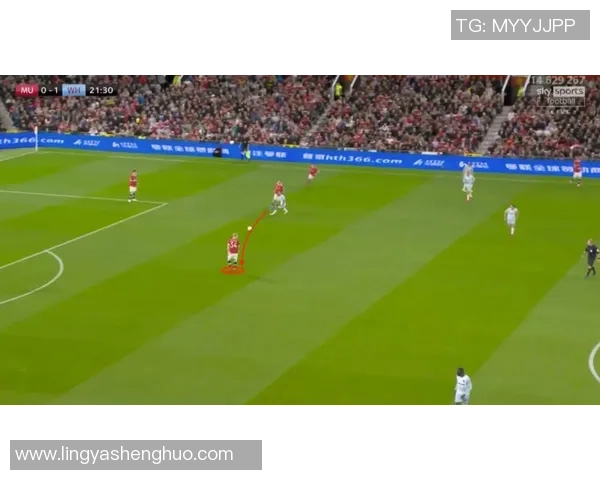 北京网球队状态分析:技术提升与赛事表现的全面解读