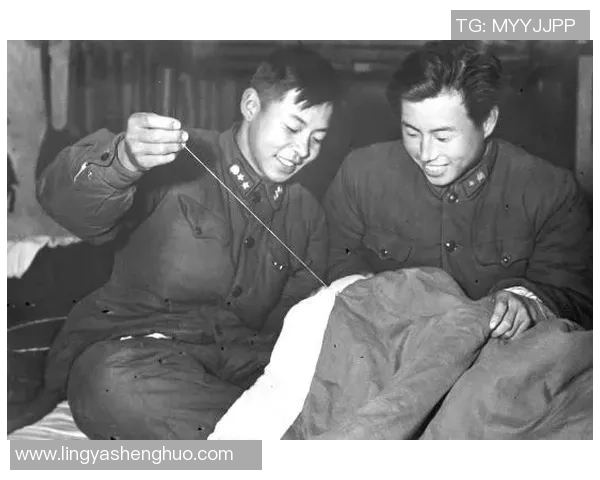 南京篮球队的奋斗与荣耀：挑战赛背后的故事与突破历程